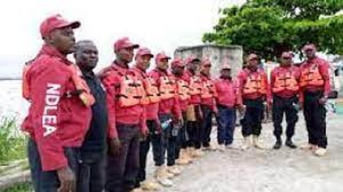  NDLEA Salary Structure And Ranks Career Guide